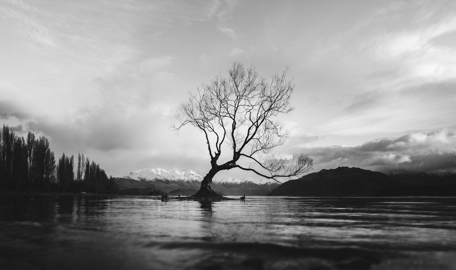 A bare tree in the middle of a river. Anxiety. Black and white picture.